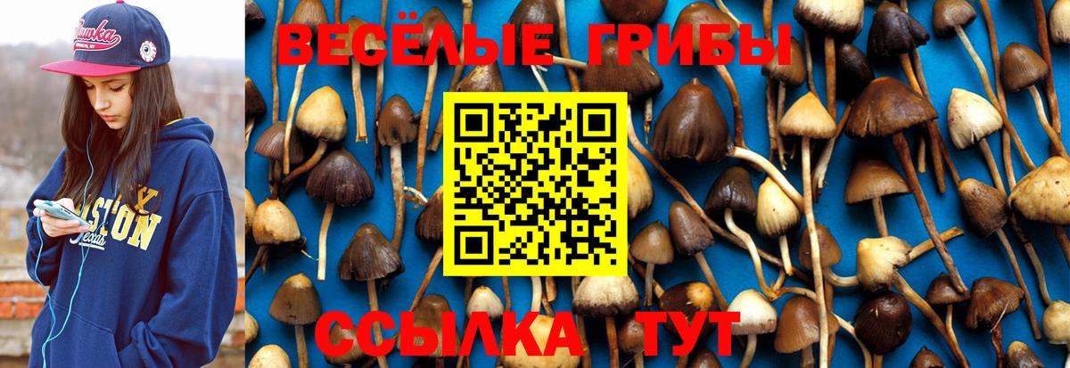 Дзержинск  Галлюциногенные грибы мицелий  Вход с VPN 